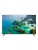 HAIER 43 LED S2 фото в интернет магазине liniyatoka.ru HAIER 43 LED S2 фото в интернет магазине liniyatoka.ru