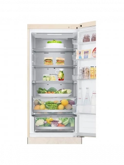 LG GA-В509AEPW фото в  интернет магазине liniyatoka.ru