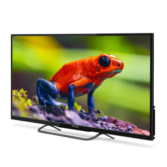 Polar P43L21T2SCSM фото в  интернет магазине liniyatoka.ru