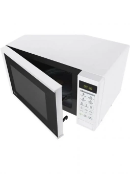 LG MS-20R42D фото в  интернет магазине liniyatoka.ru