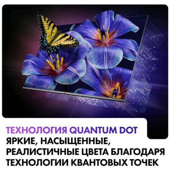 HAIER 55 SMART TV S4 фото в  интернет магазине liniyatoka.ru