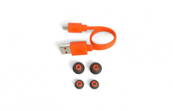 JBL T110BT черный фото в  интернет магазине liniyatoka.ru